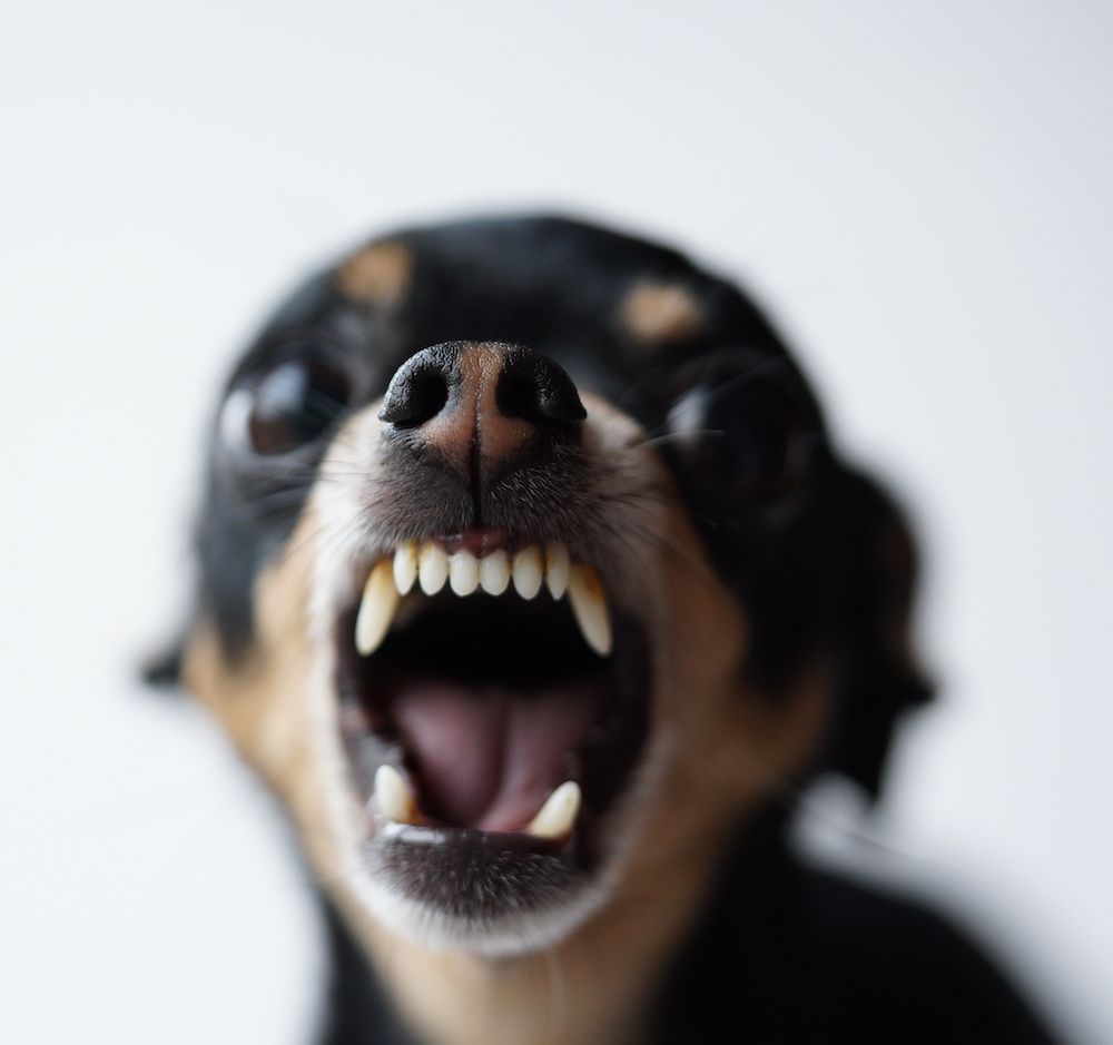 Editorial: May 6, 2022